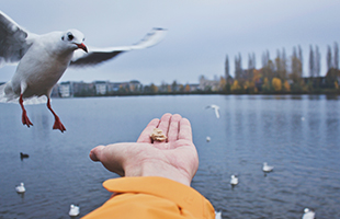 TG������ - �ٷ�APP����